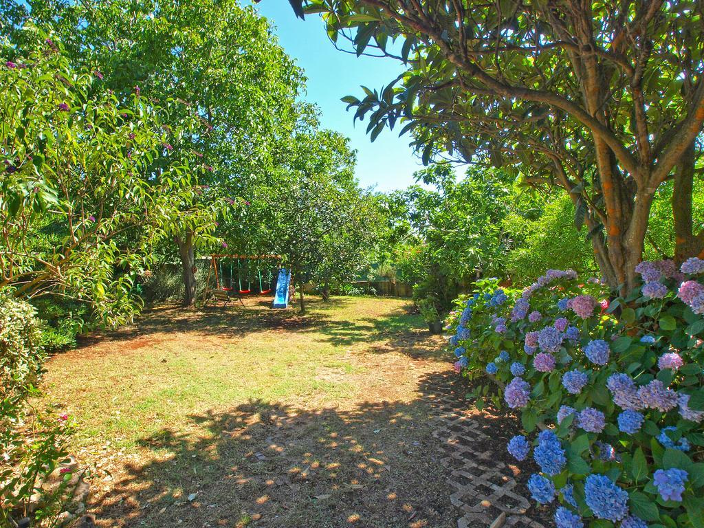 Apartments Vlasta 1410 Premantura Bagian luar foto